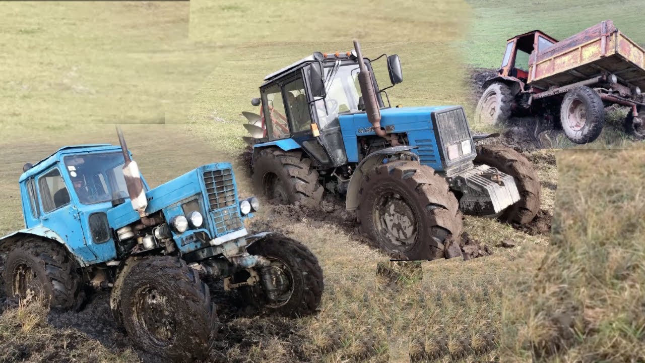 Traktör Karşılaştırması | Traktörler MTZ 1221, Tractor MTZ 82, Tractor T-40, Tractor T-25, URAL
